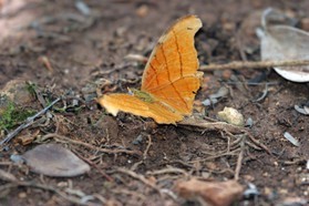 Images_Belize_2011_032