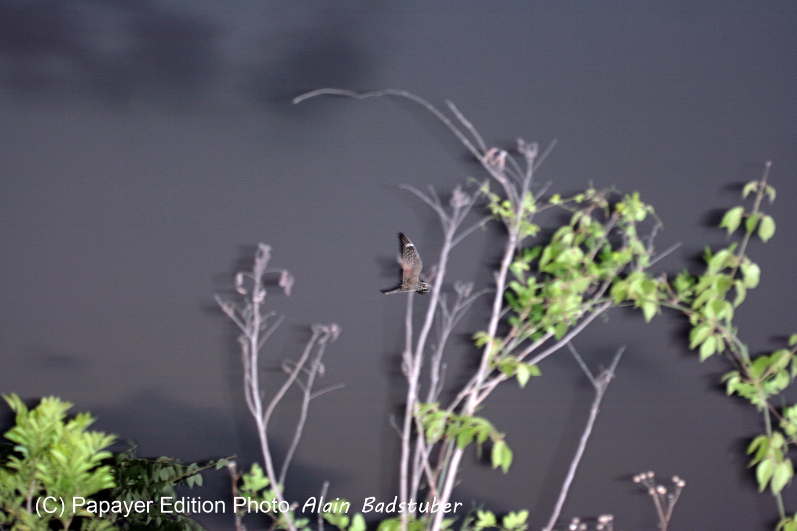 Images_Belize_2011_330