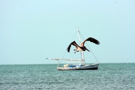 Images_Belize_2011_444