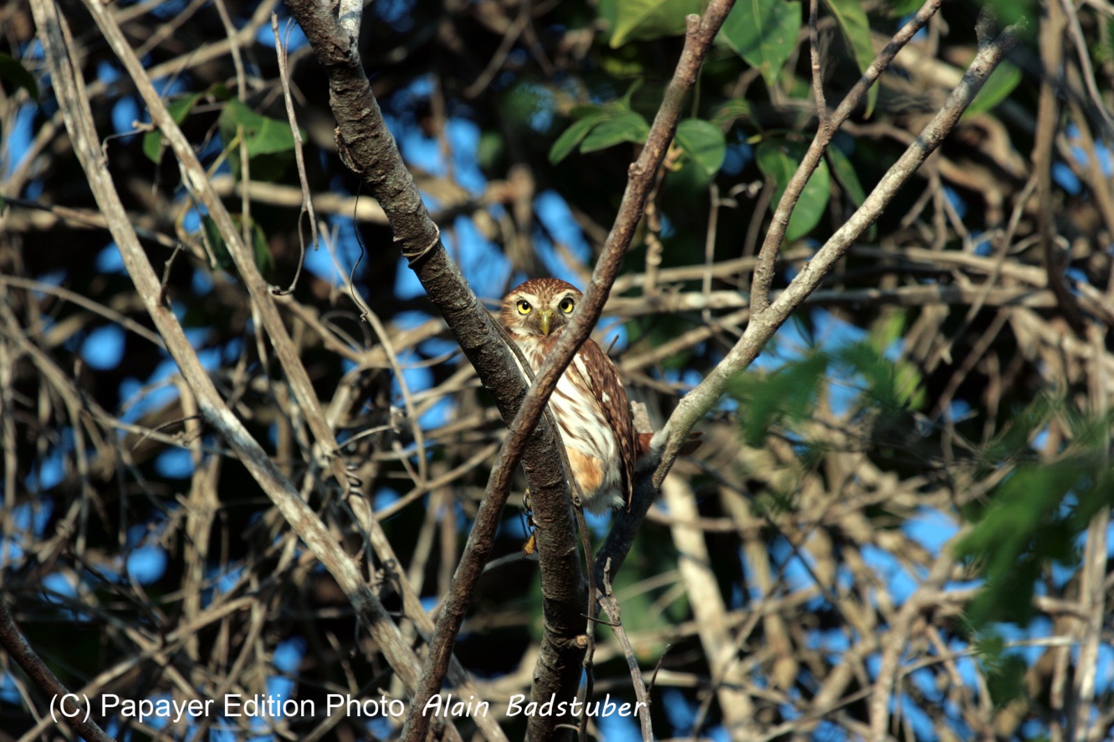 Images_Belize_2011_334