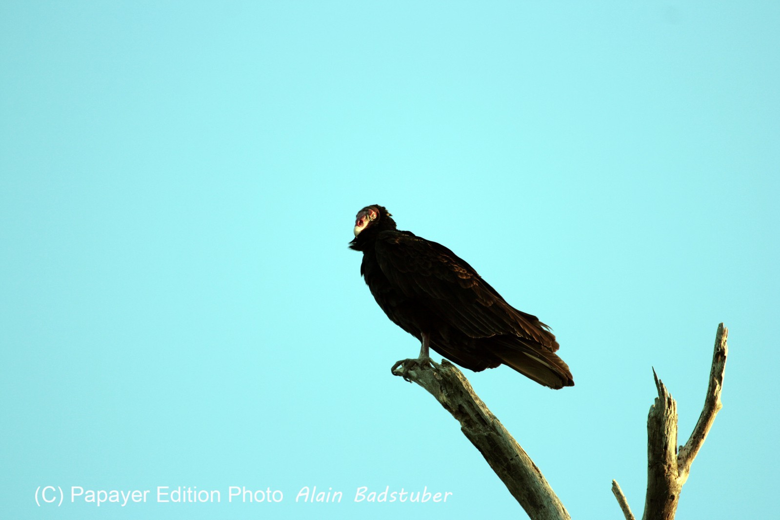 Images_Belize_2011_355