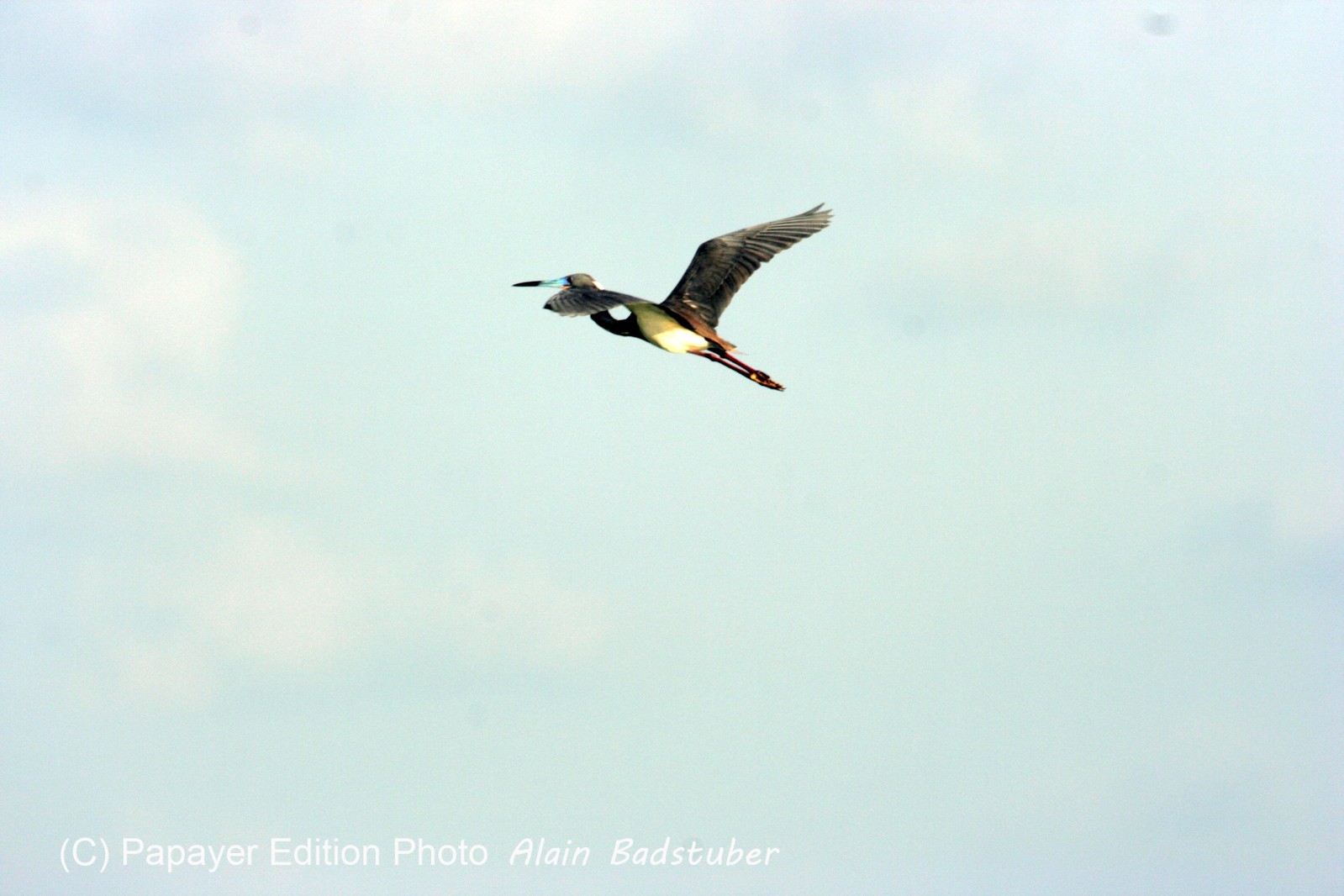 Images_Belize_2011_216