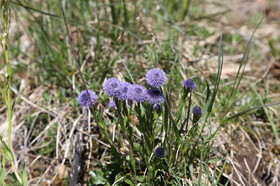 Ma balade du premier mai 2019