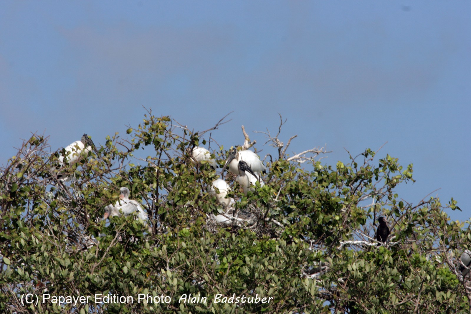 Images_Belize_2011_097