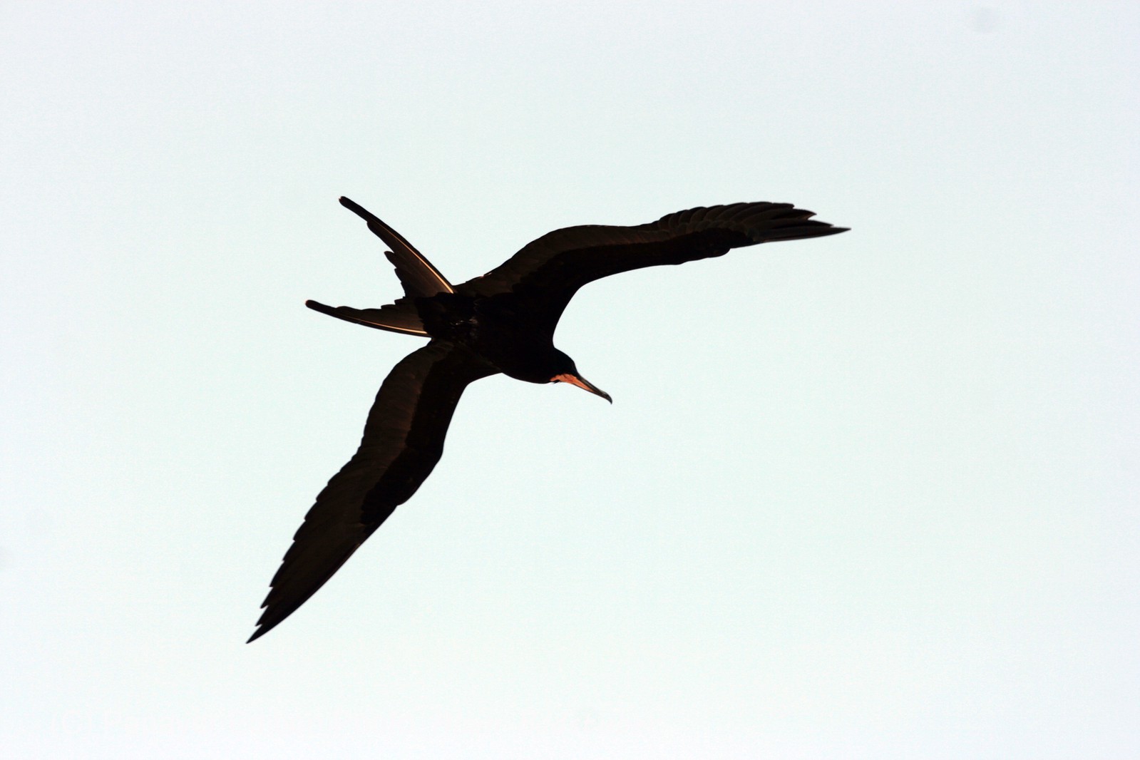 Images_Belize_2011_427