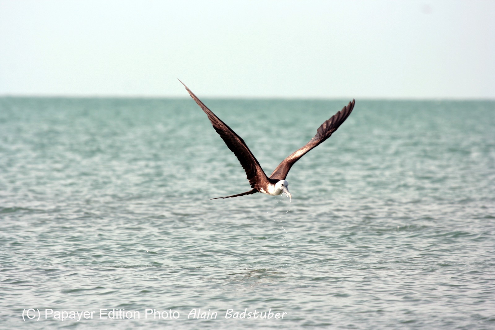 Images_Belize_2011_431