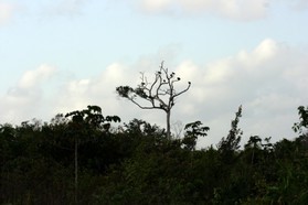 Images_Belize_2011_012