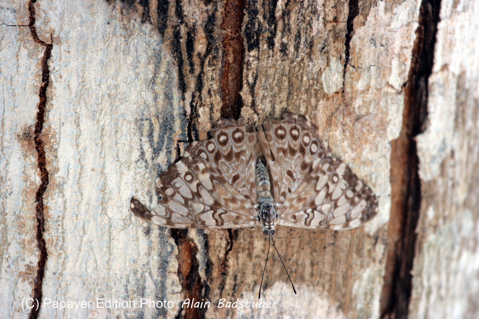 Images_Belize_2011_045