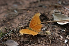 Images_Belize_2011_031