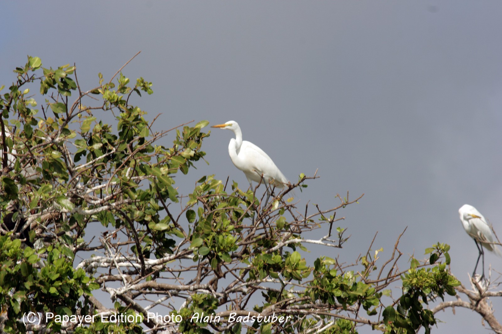 Images_Belize_2011_119