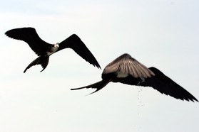 Images_Belize_2011_421