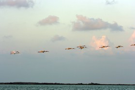 Images_Belize_2011_223