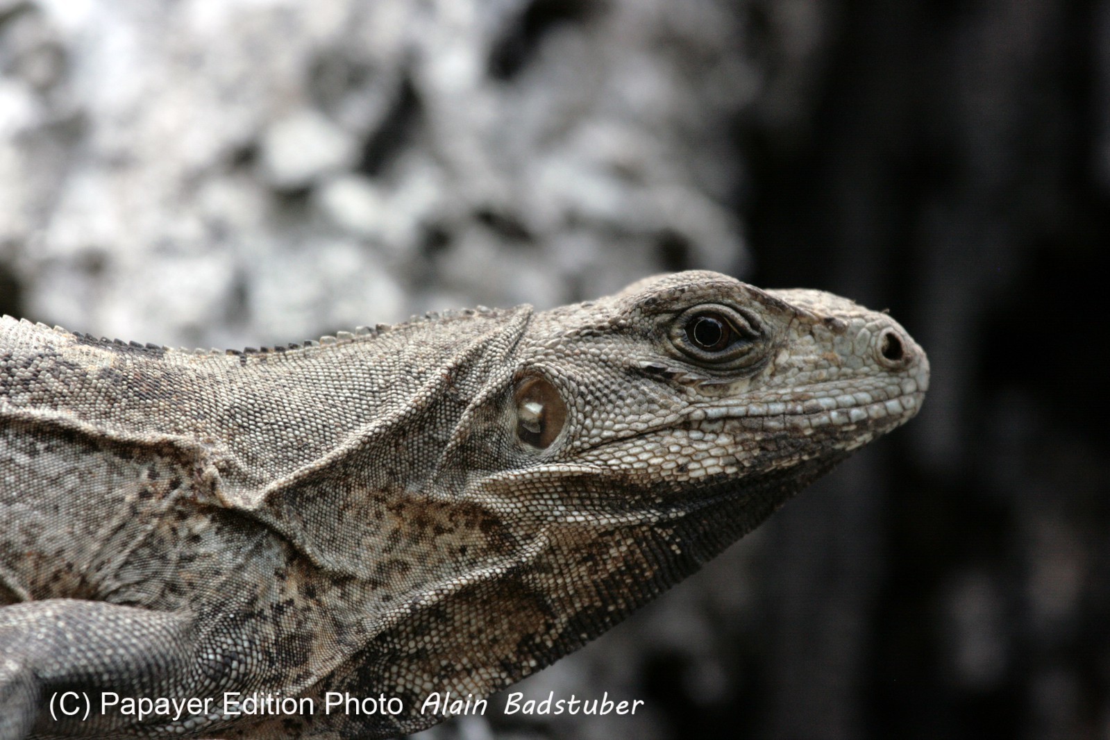 Images_Belize_2011_164