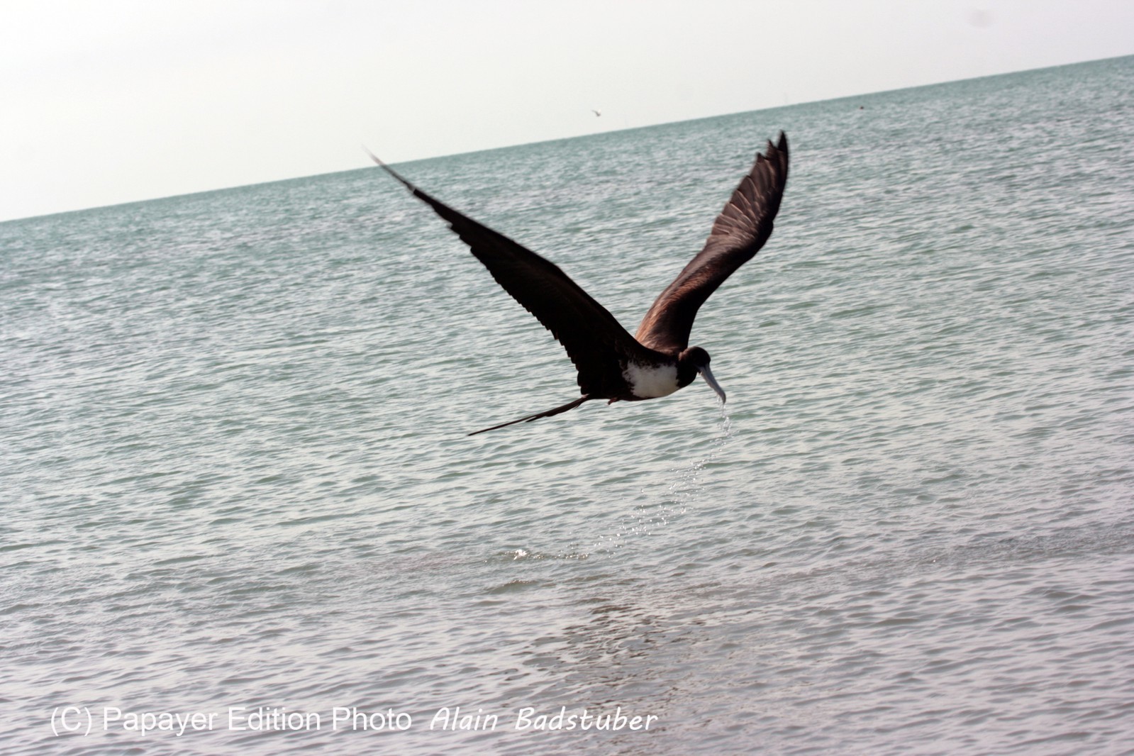 Images_Belize_2011_424