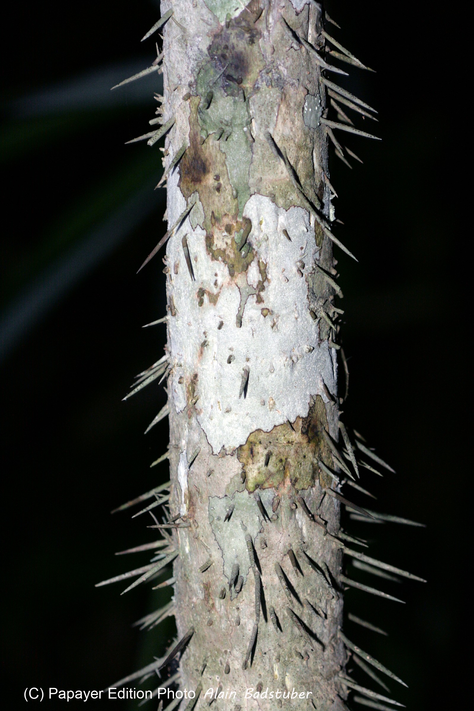 Images_Belize_2011_286