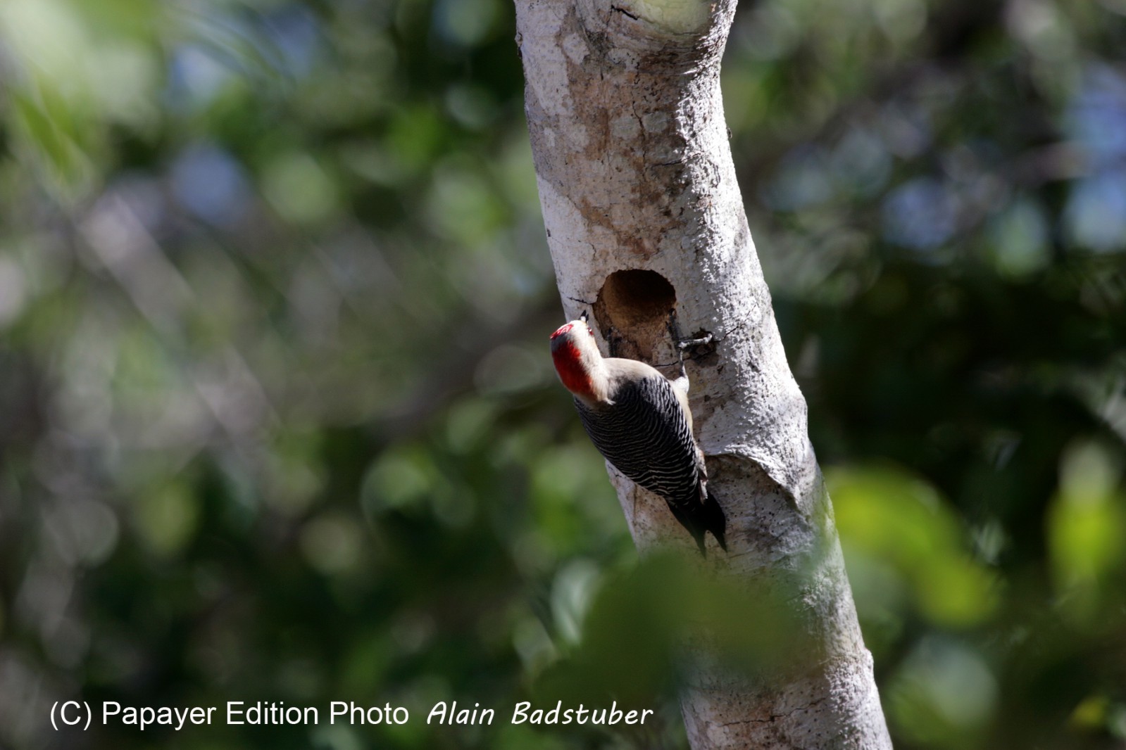 Images_Belize_2011_059
