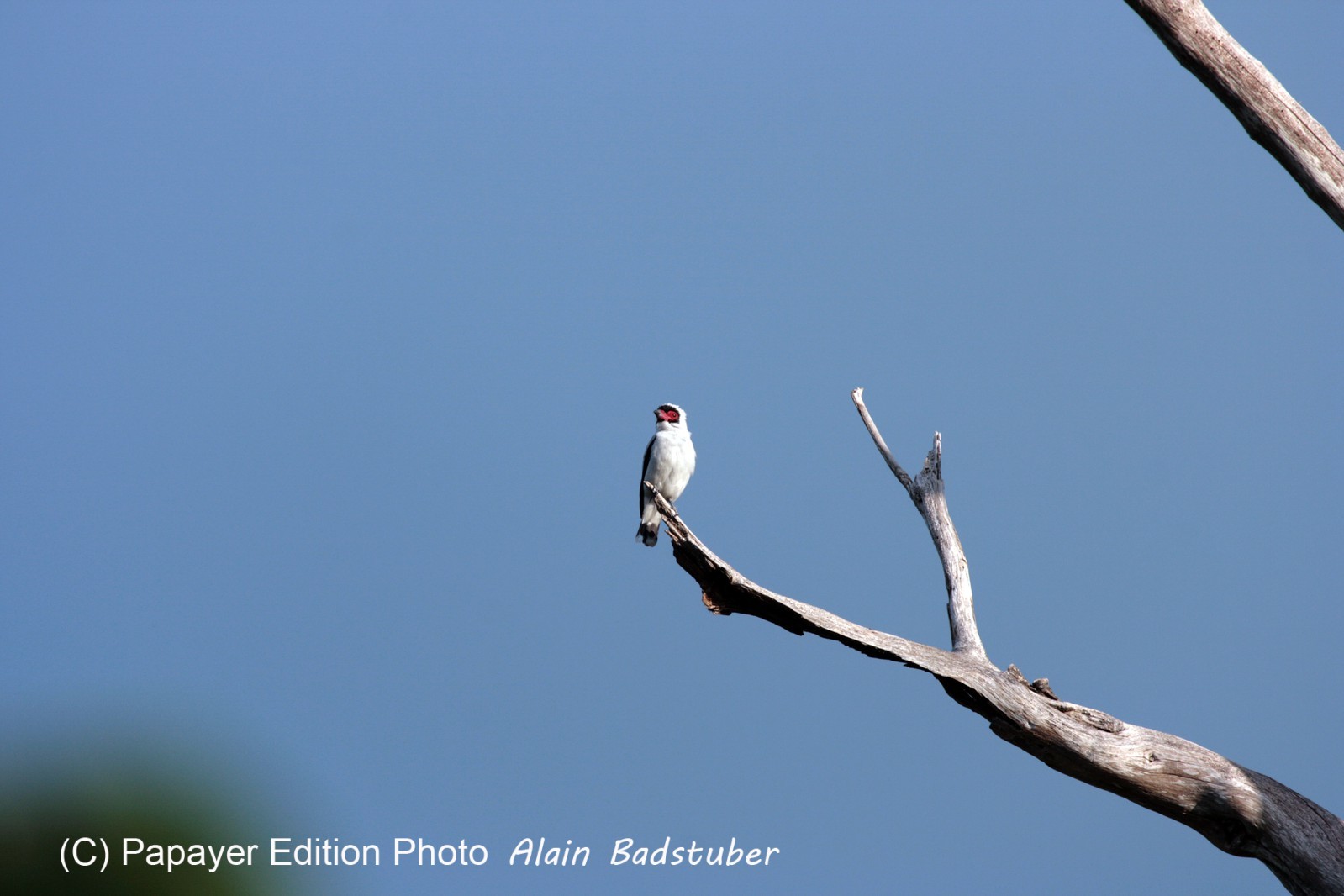 Images_Belize_2011_340