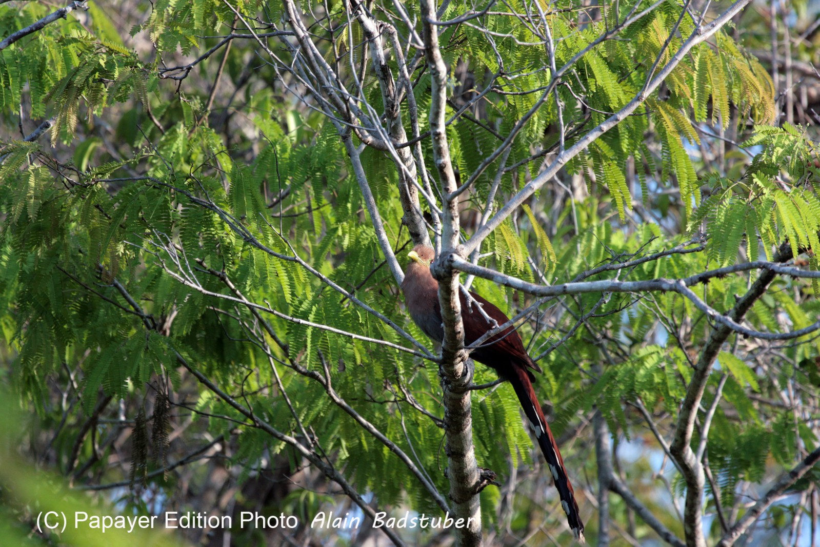Images_Belize_2011_367