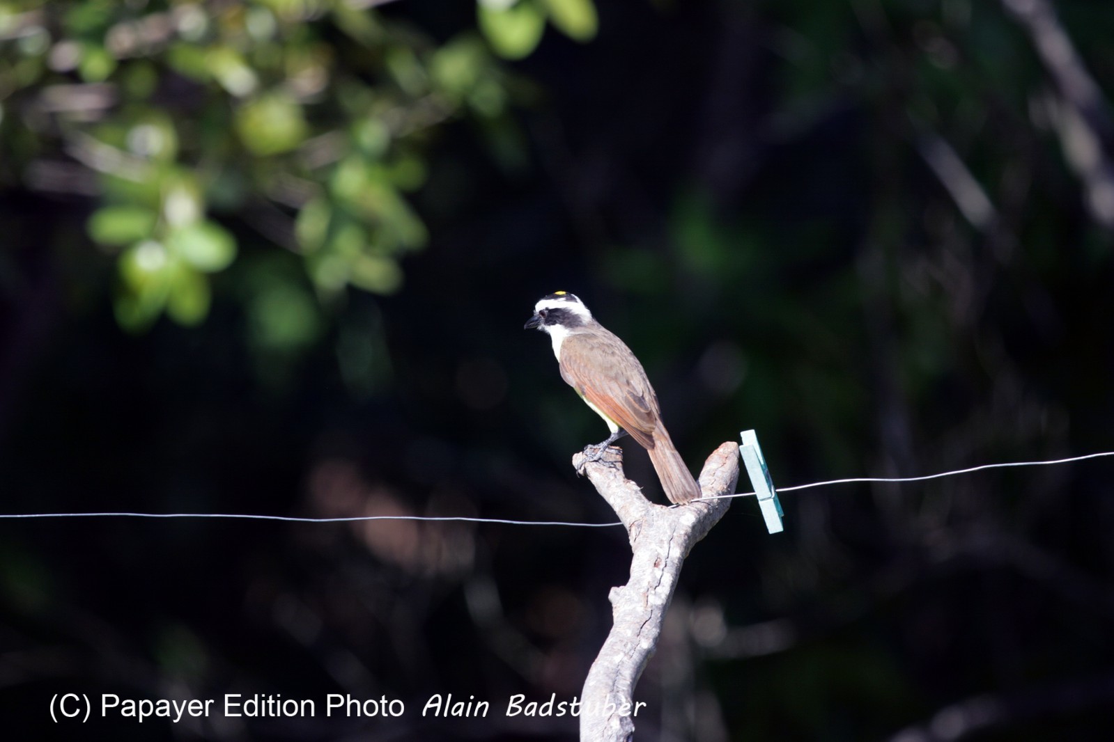 Images_Belize_2011_037