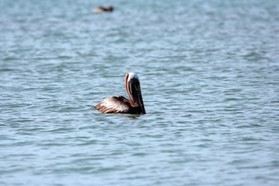 Images_Belize_2011_438