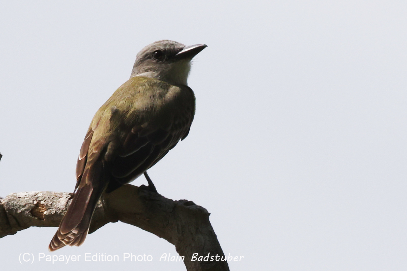 Punta Culebra Nature Center