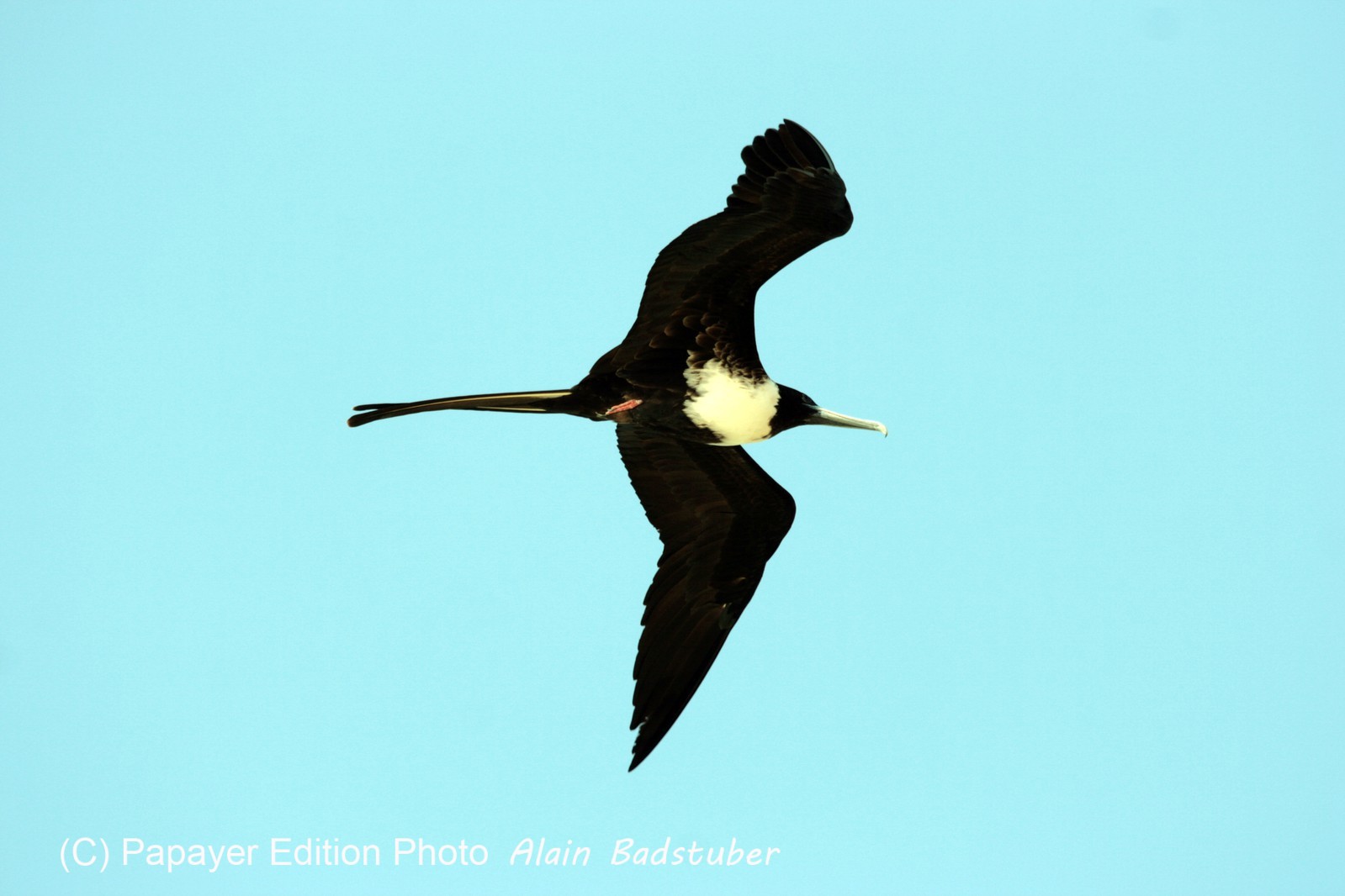 Images_Belize_2011_430