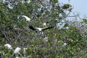 Images_Belize_2011_103