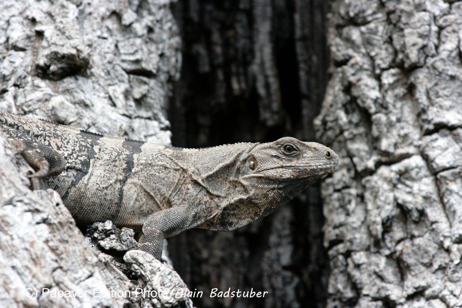 Images_Belize_2011_162