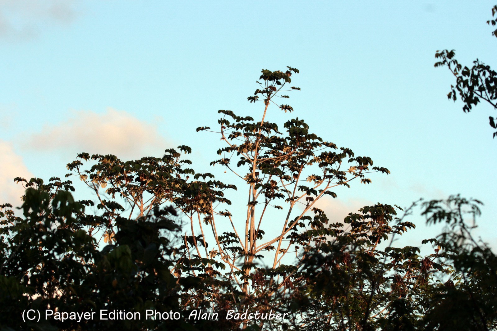 Images_Belize_2011_328