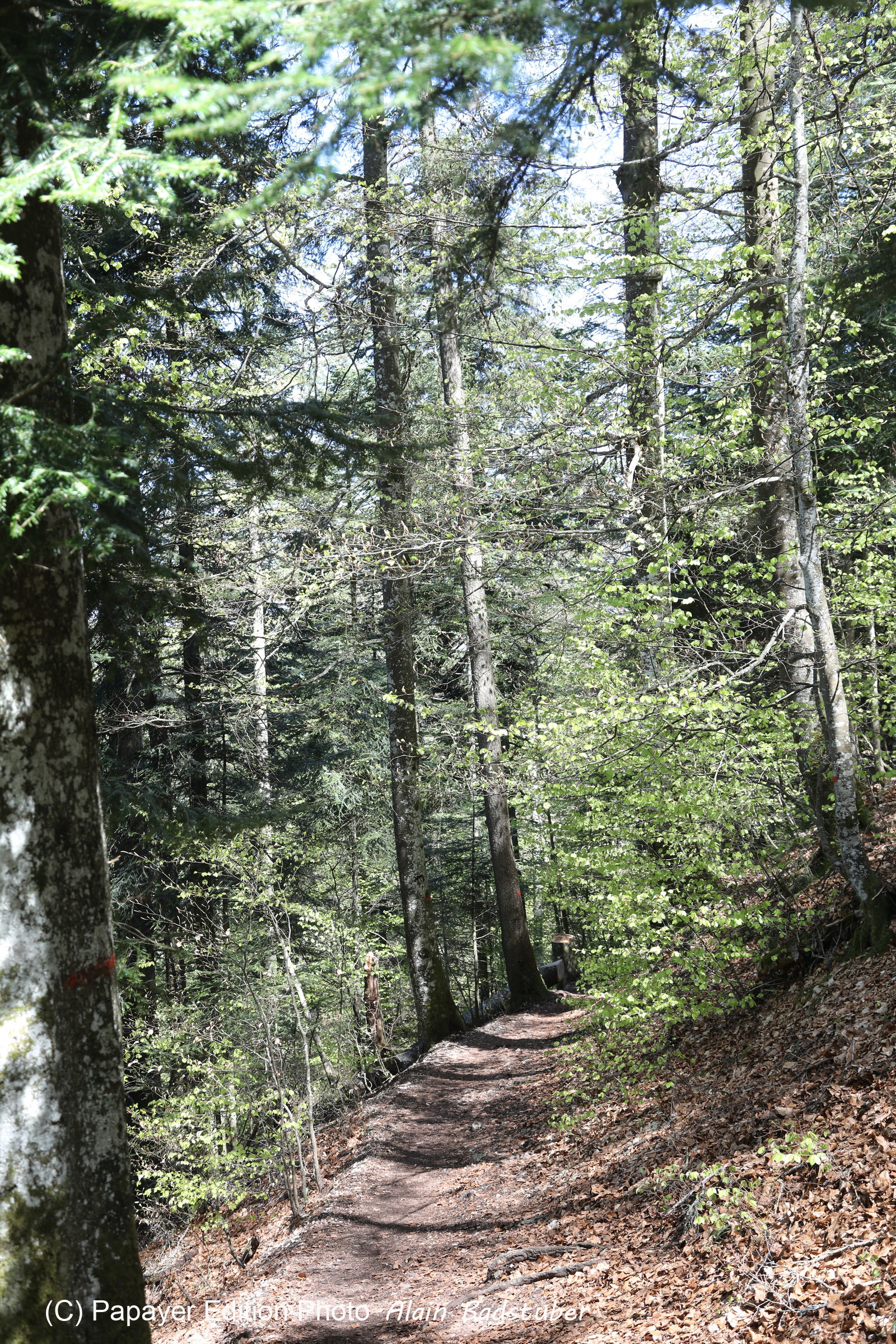 Ma balade du premier mai 2019