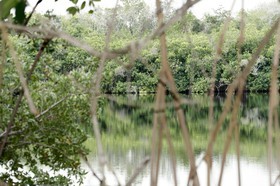 Cenotes_11-04-12_01.jpg