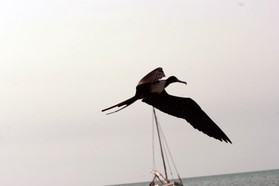 Images_Belize_2011_425