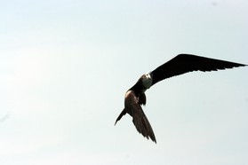 Images_Belize_2011_414