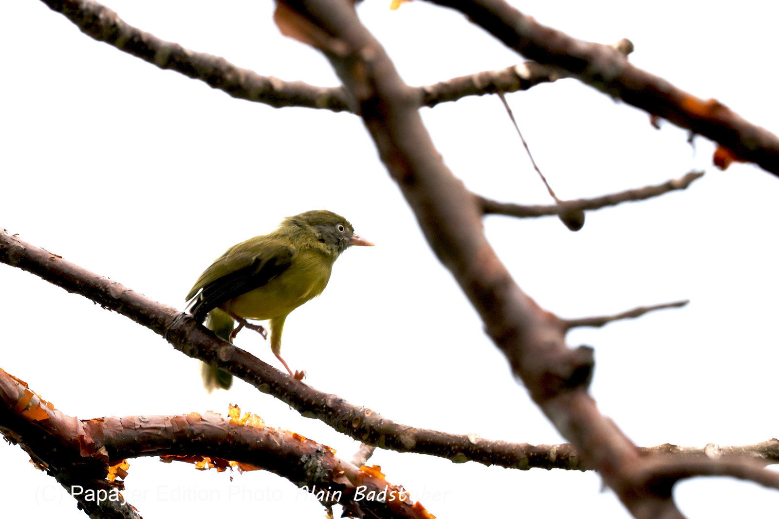Punta Culebra Nature Center