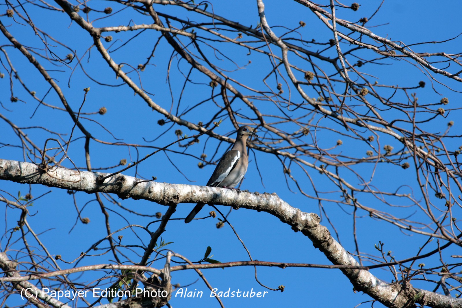 Images_Belize_2011_346