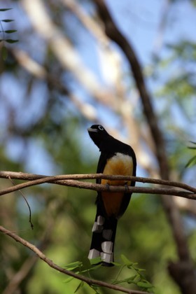 Images_Belize_2011_040