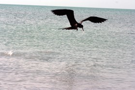 Images_Belize_2011_416