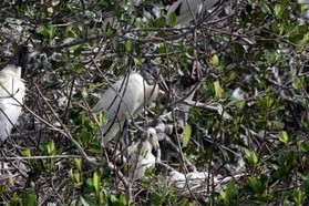 Images_Belize_2011_107