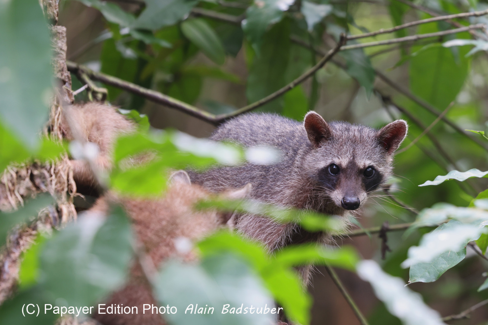 Punta Culebra Nature Center