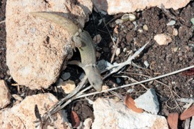 Images_Belize_2011_371