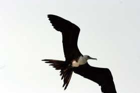 Images_Belize_2011_409