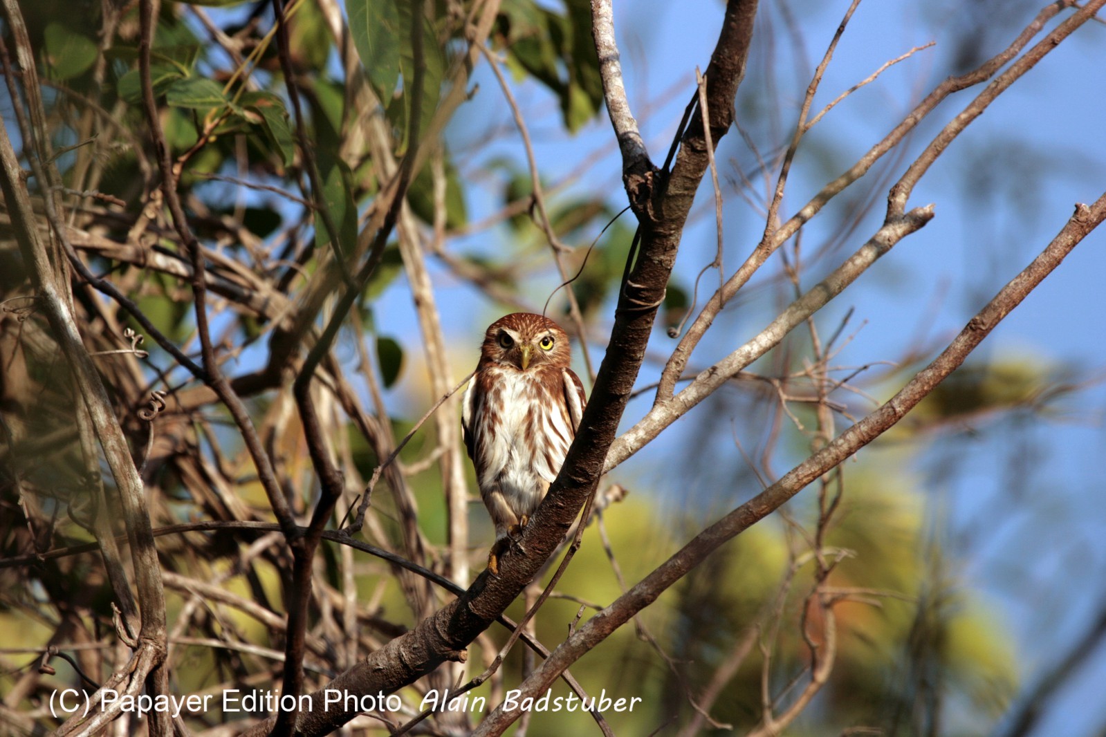 Images_Belize_2011_335