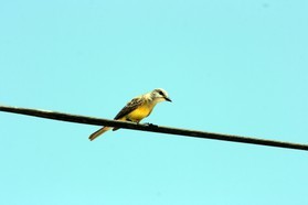 Images_Belize_2011_068