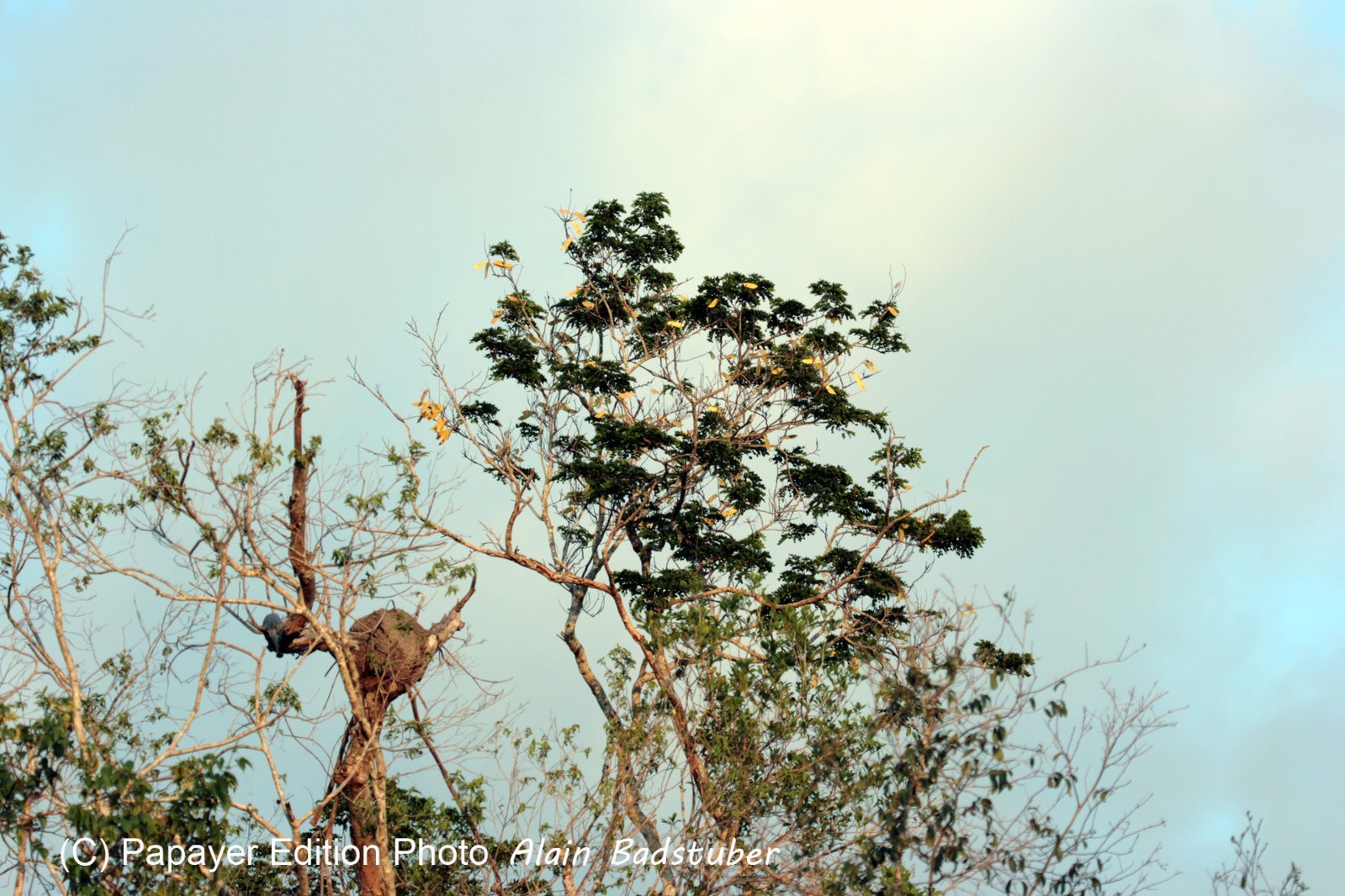 Images_Belize_2011_318