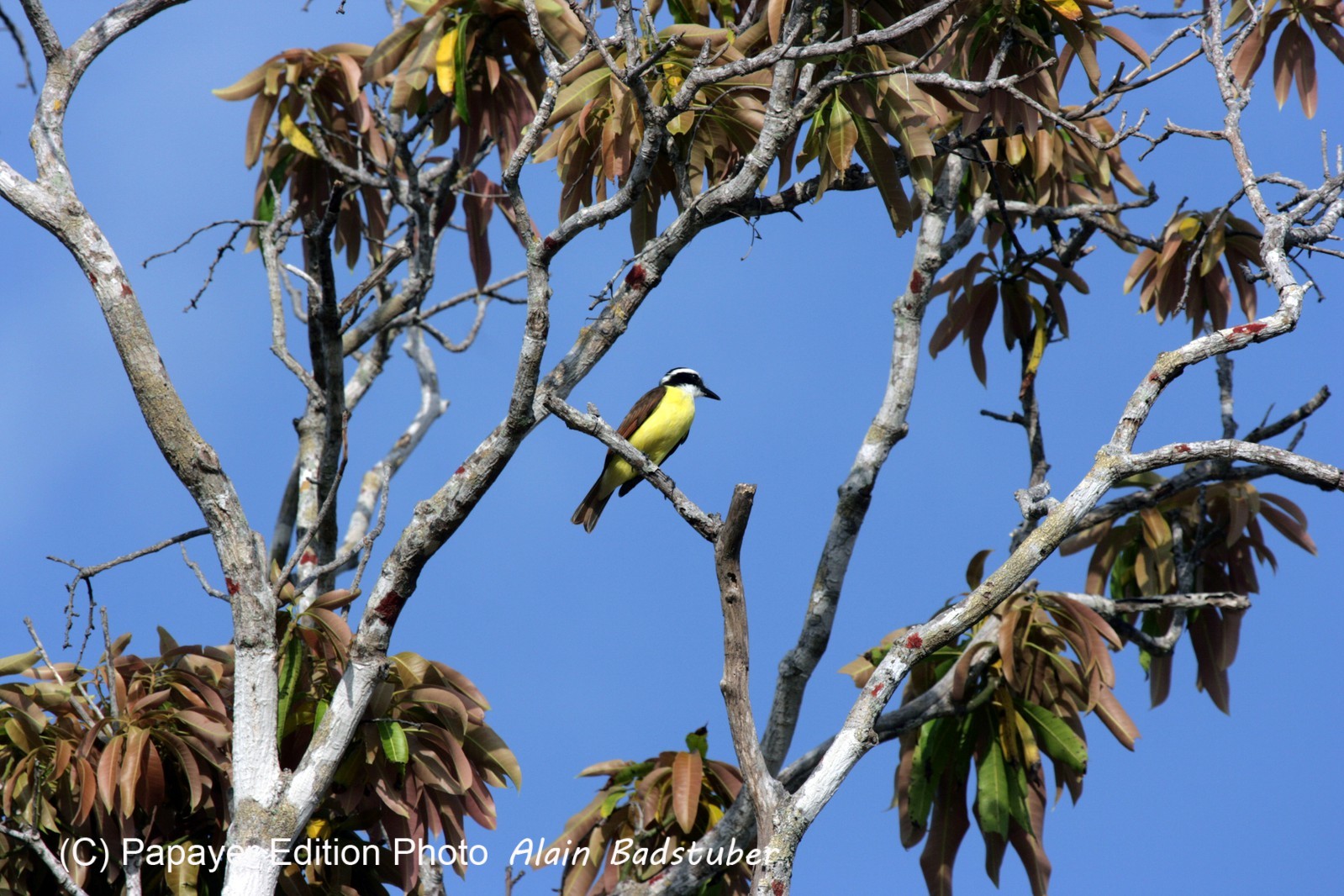 Images_Belize_2011_078