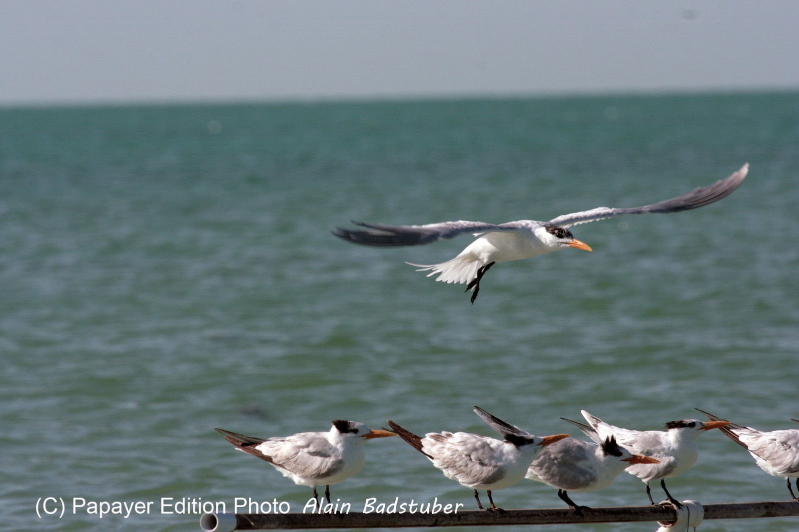 Images_Belize_2011_374