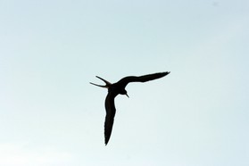 Images_Belize_2011_403