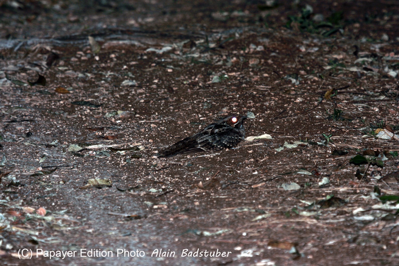Images_Belize_2011_360