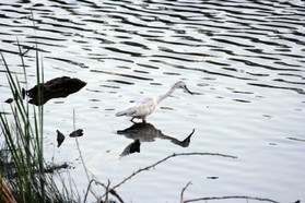 Images_Belize_2011_295