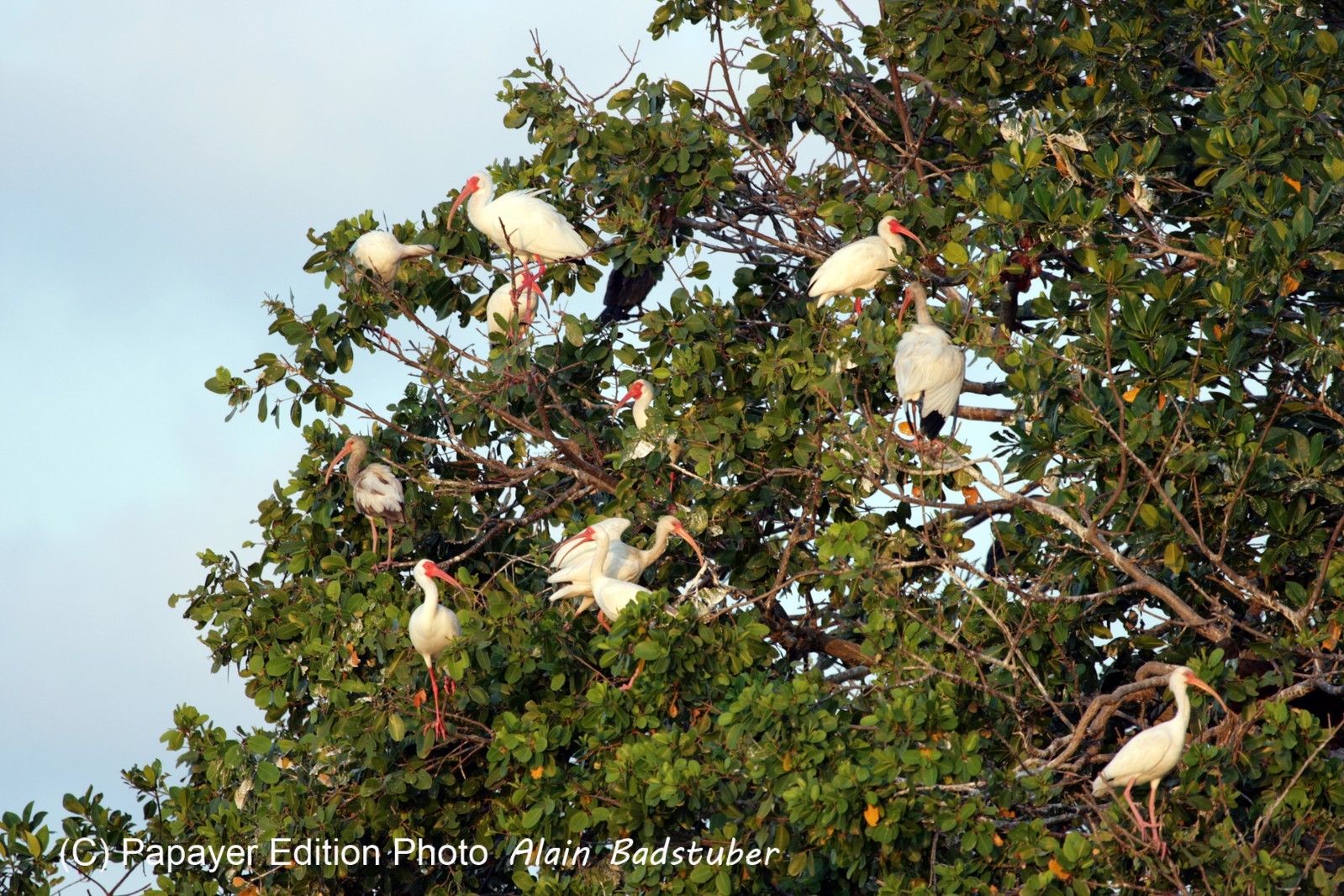 Images_Belize_2011_221